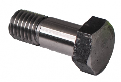 Picture of BOLT