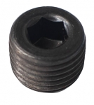 Picture of PLUG